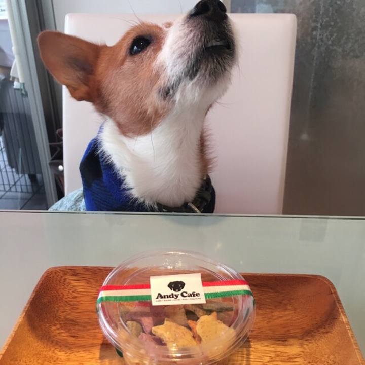 F74b9a94 2753 40ec a01d 4337174910d2