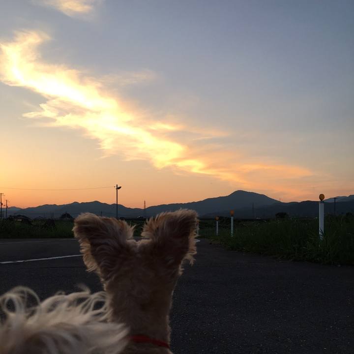 F74c09df bf95 4c4a 948a 7f74c25663a7