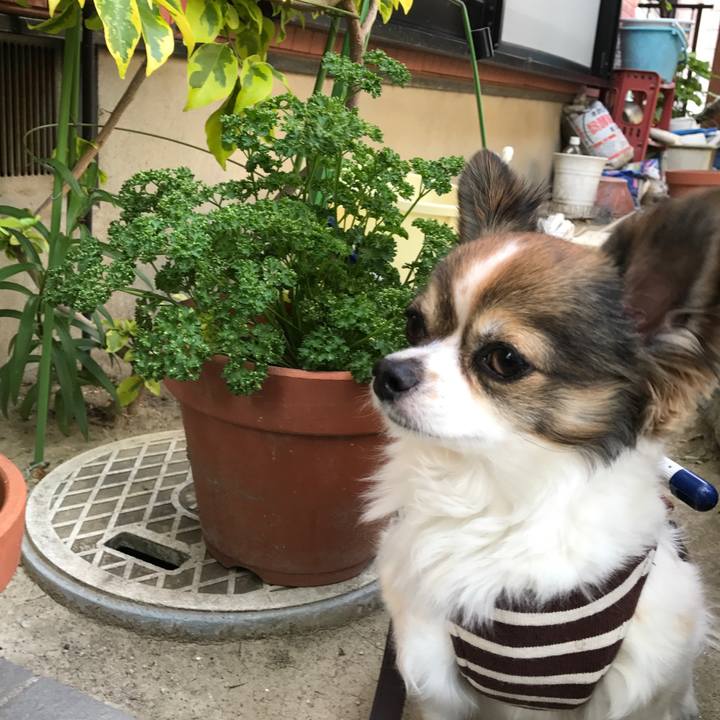 F74c2584 c484 42e4 9985 8dbe49d07ff7