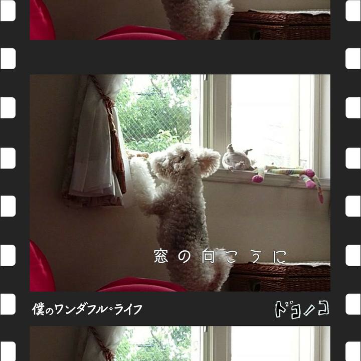 F74cc079 153f 4ef8 a588 ae99a02cce17