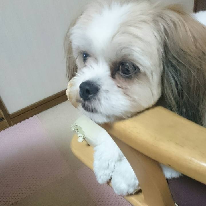 F74d1193 8584 446f 81e0 6d433edc9264