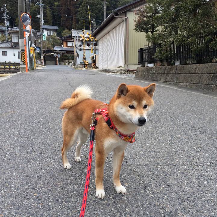 F74d9109 b043 4e97 a116 c698b89a6836