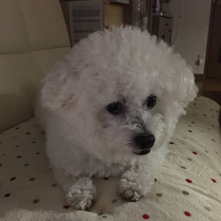 F74dcce5 68e2 408c 8b8b 2efbc77ea3d3