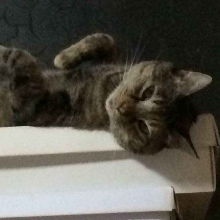 F74e109f 62e7 4a05 8cb2 dba6825e5132