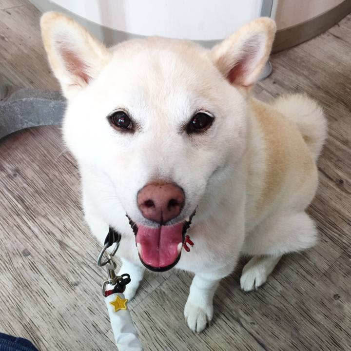 F74e3c71 b1dd 4174 87a8 82e5f5ada589