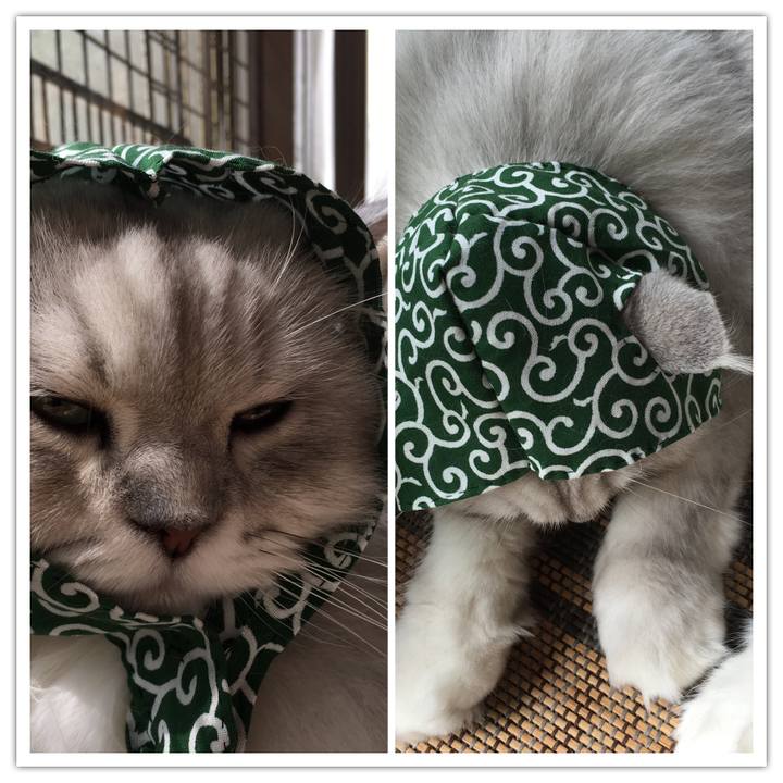 F74e425e 9b01 4828 a3b5 b70cd9548717