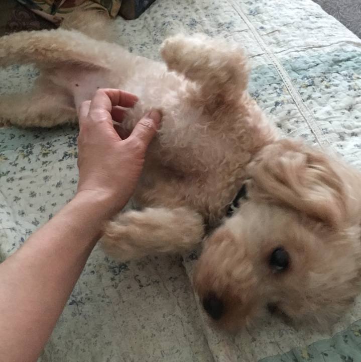 F74e5212 e8df 474f 8a51 95f0c003b9fe