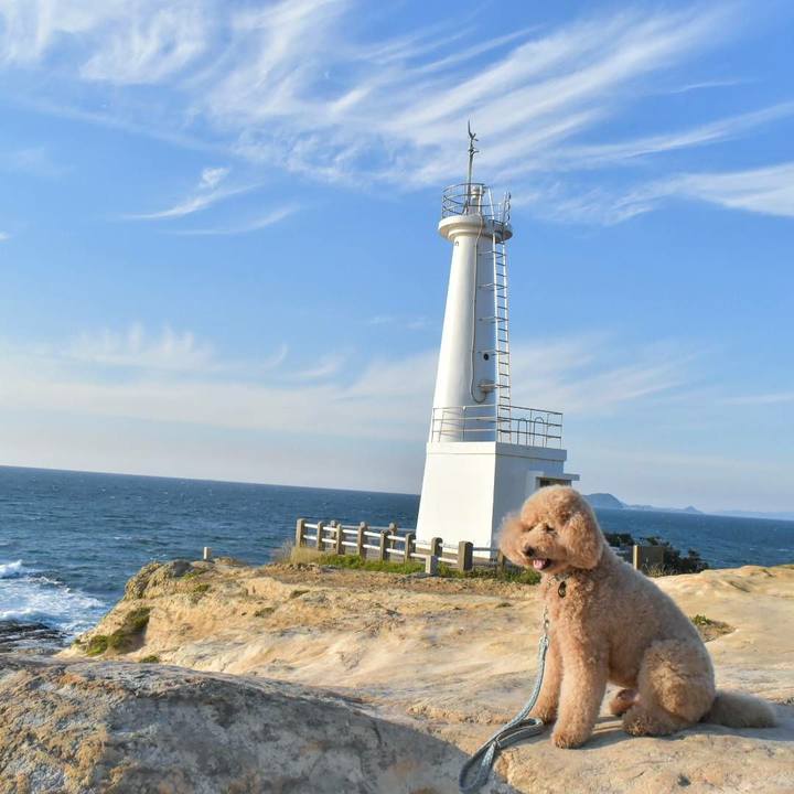 F74eb17e e8f4 415f a567 d1e3cc03ac1a