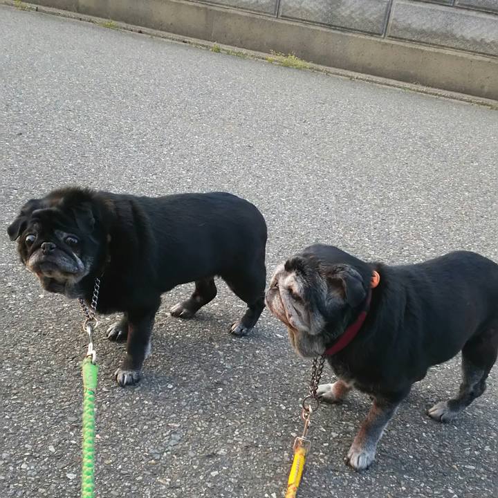 F74fea2c 4513 4ca3 a367 62eb748f62a7