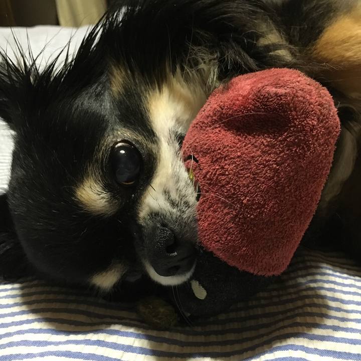 F7500517 6cc0 45be 8376 8b47210ae459