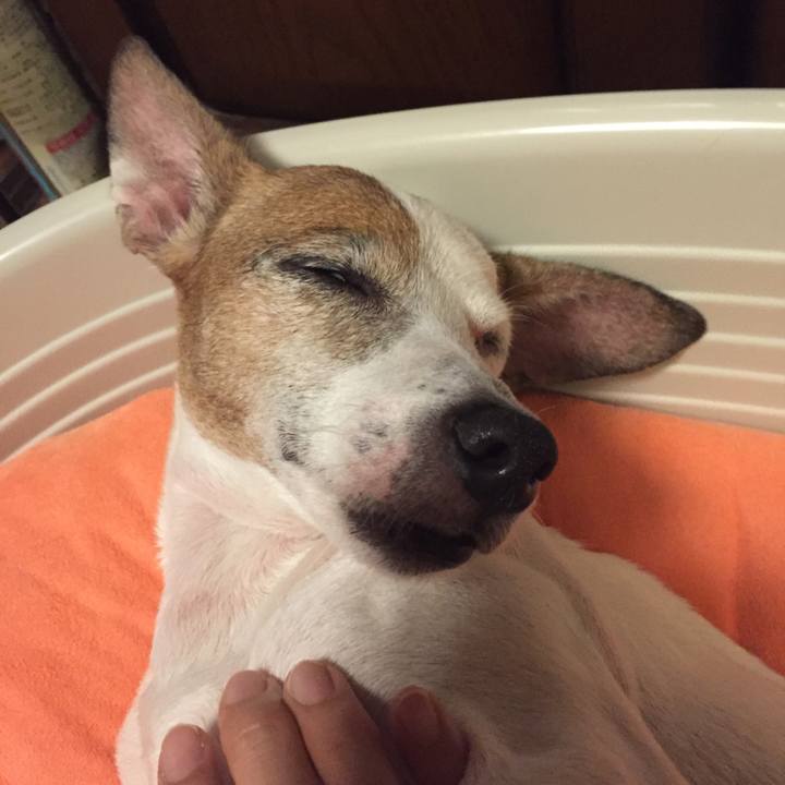 F75197d3 abc2 405e bfb7 294956ba9395