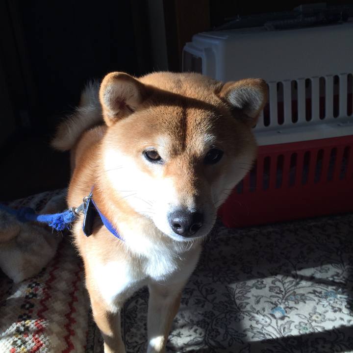 F7519908 2131 406c 87e6 ca05d7d28533