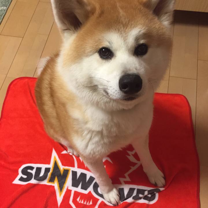 F751a361 d805 435d 8768 3cea396231f3