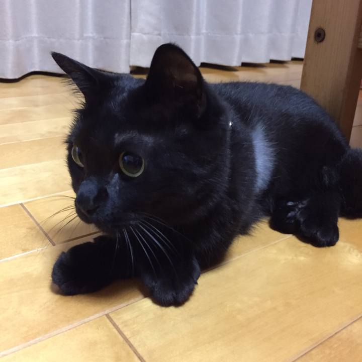 F751b0f3 8b87 4842 84d5 1ced090ecfa8