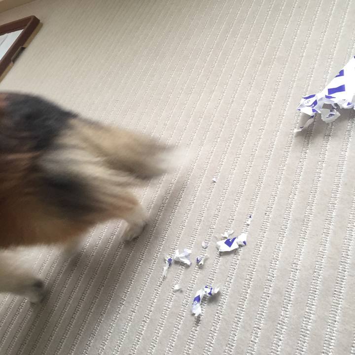 F7535aca 8835 47f4 b06f a9e46afa4d76