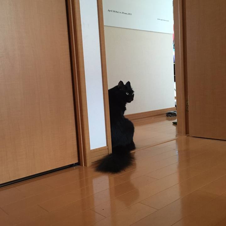 F754b64a 9be4 414a 9e3e 1c05837d1a0c