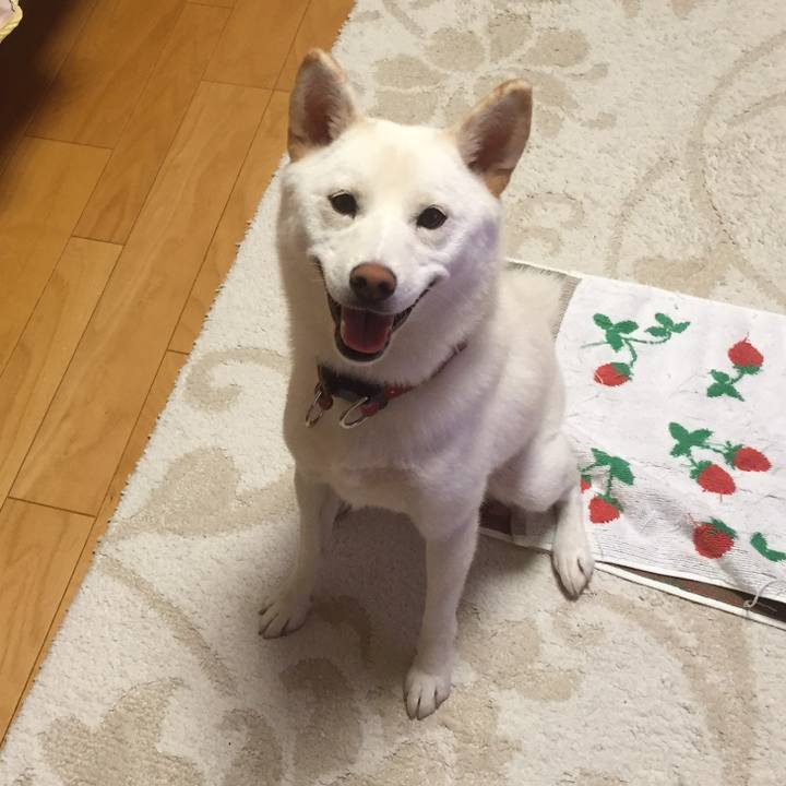 F754c314 0316 46f3 a72c 53e9f185c6a1