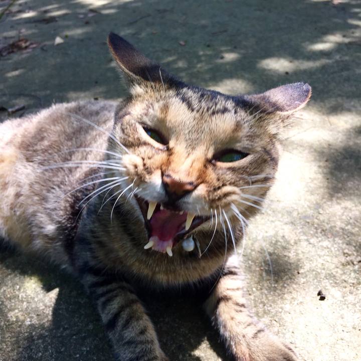 F7550c1f 8c16 430c 9f07 a75e76995463