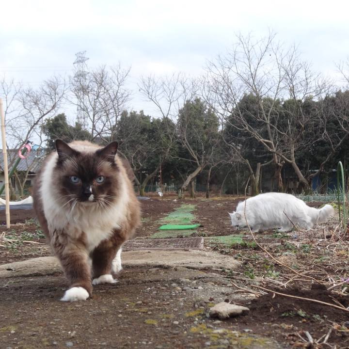 F7555213 07dd 46e0 9c11 649b54903360