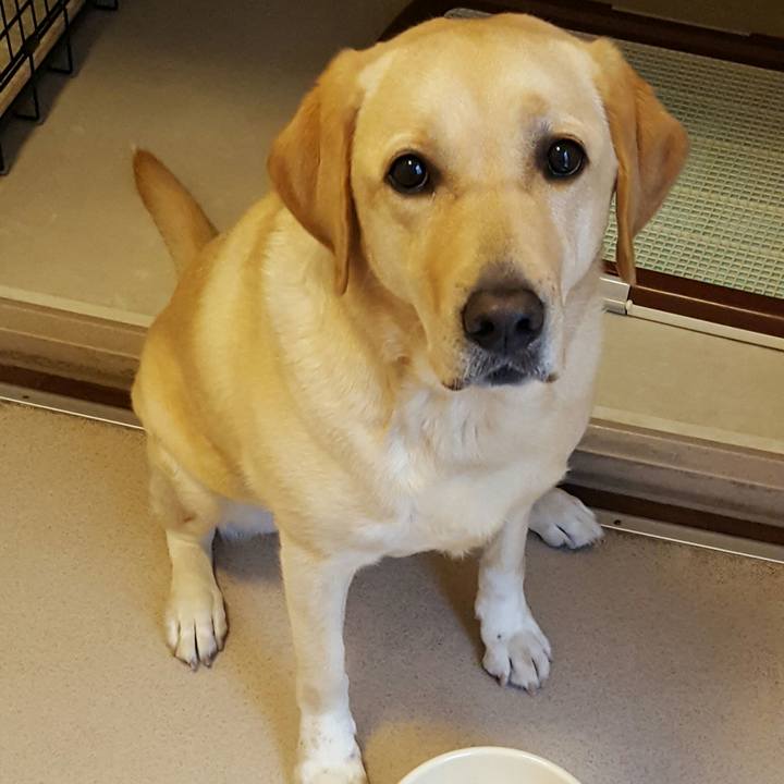 F7558b2a f6ba 4d36 8d66 21e52bea2231