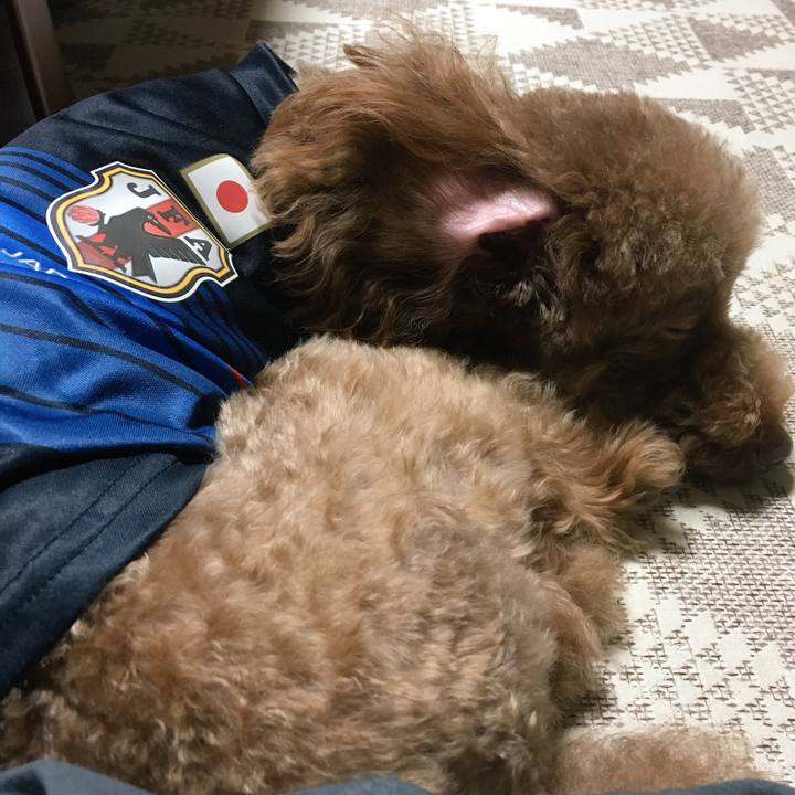 F7560473 8e98 48ec 9321 4345a9374a9a