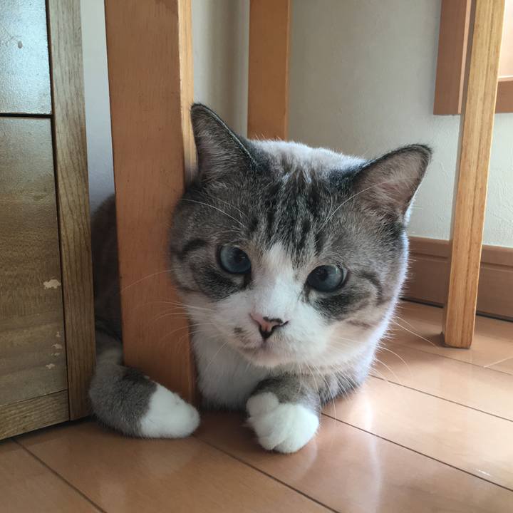 F75613b3 9041 4491 8148 2e0f3cd5294a