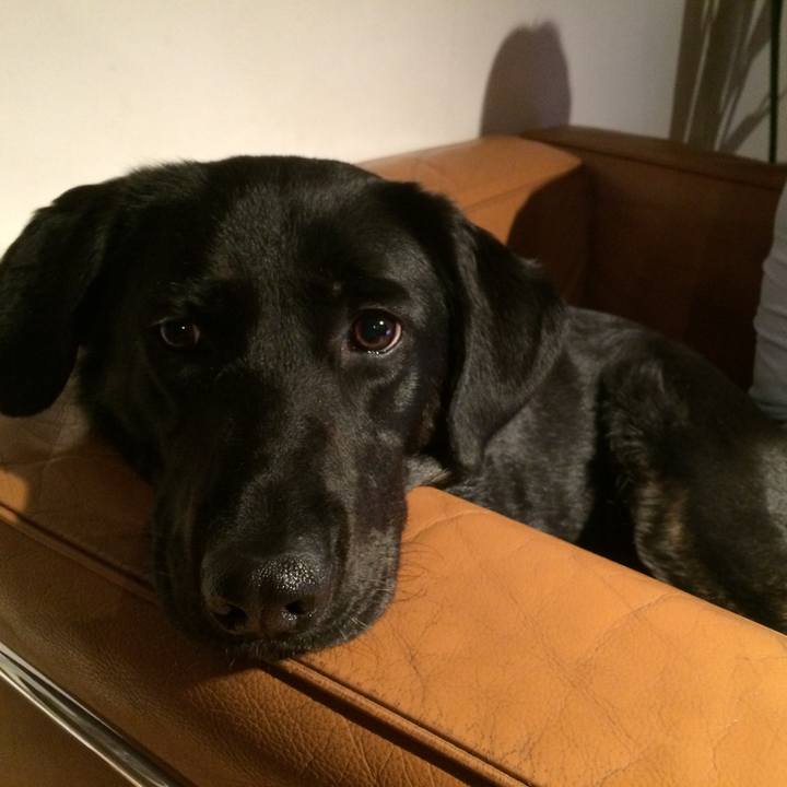 F75645a5 2f07 44f6 b85b bef1b2525c74