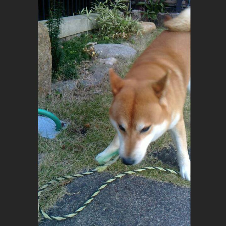 F75686b4 9340 4c48 98d0 06ca53522c7e