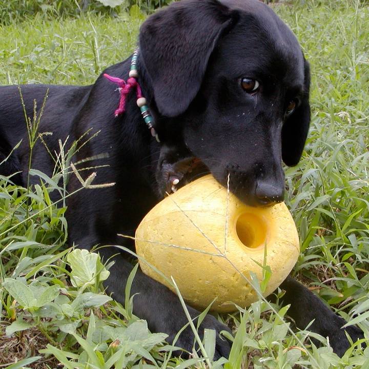 F757260e 0a82 491a 8825 7b1a2b2a9462