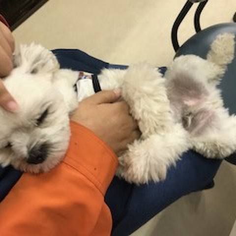 F7573d54 1ccf 4ad4 9774 be184f05a284