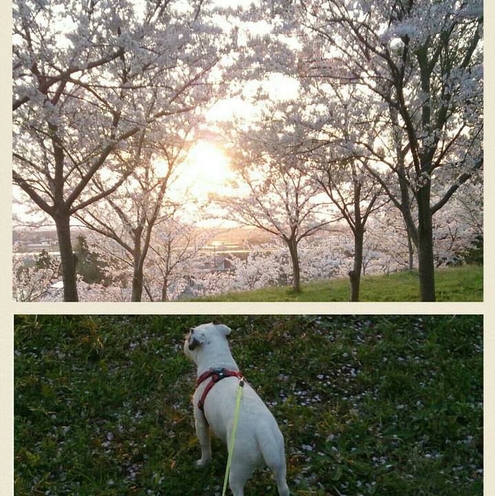 F7579f4c d63c 43ac bf6a cadd72a13d8c