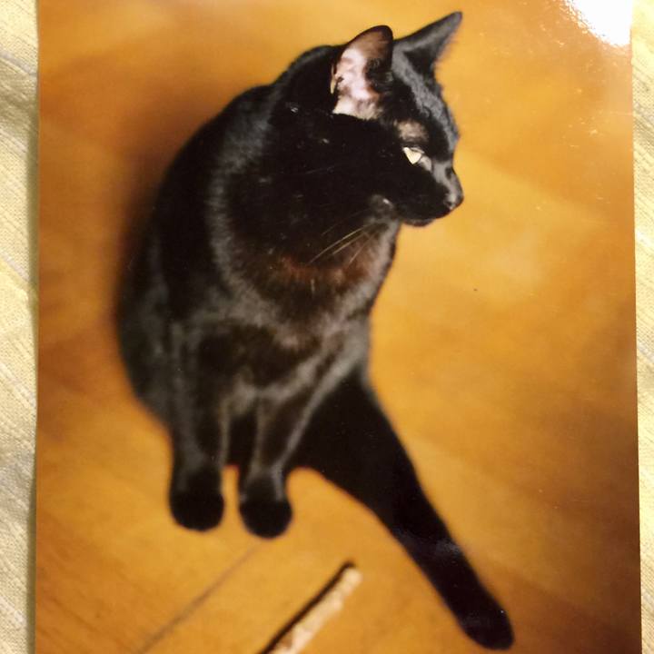 F757d38a 9147 4249 8a9a 5673e22661f7