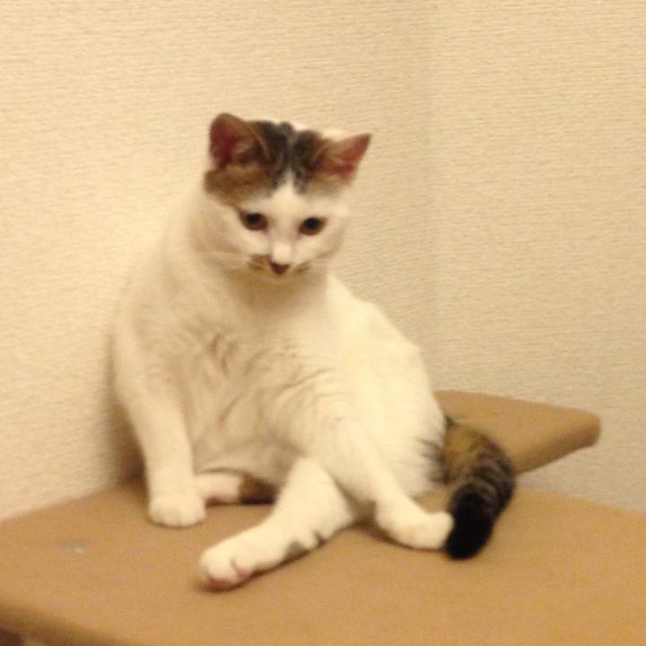 F7585c4a 9f1e 4bc0 9dc5 056d0e525383