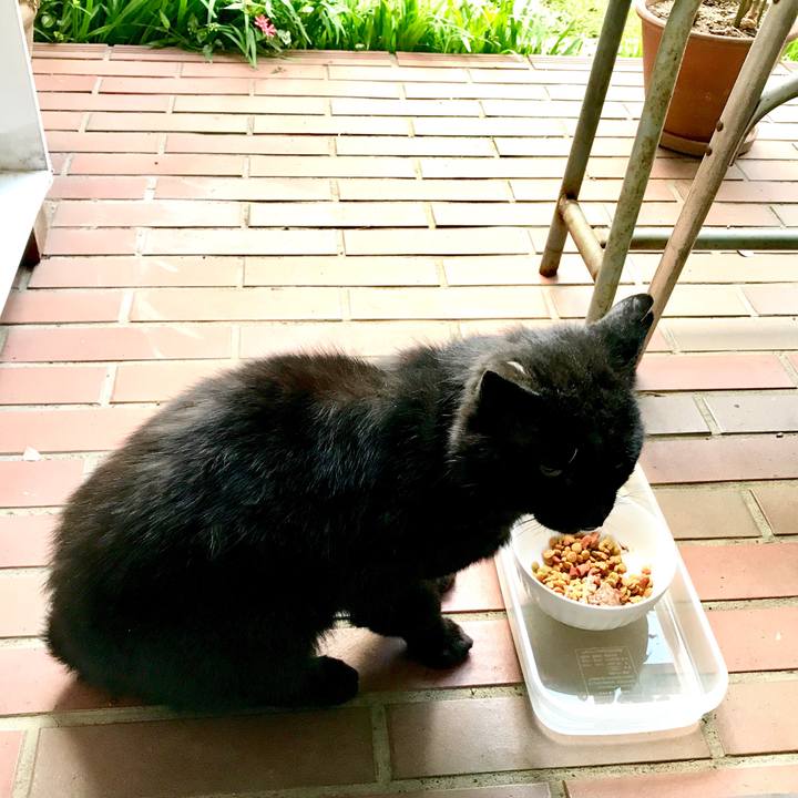 F759634f c490 4281 a978 1bafabee3e0e