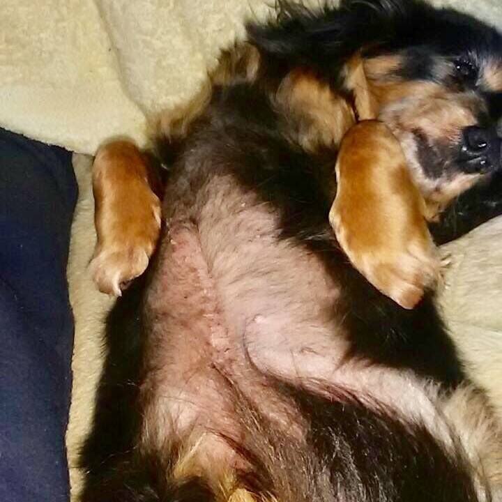 F759a002 f291 456b b29a 69438fbba93c