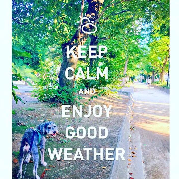 F75a0ba4 532a 43d9 b459 3f15ba4cbe76