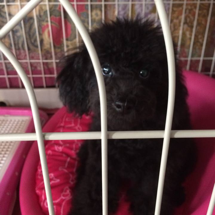 F75a789b 72d0 4d45 95a0 71dc80fb76cf