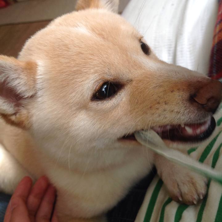 F75a78e3 7a46 48f4 8fd1 8f3fe5174488