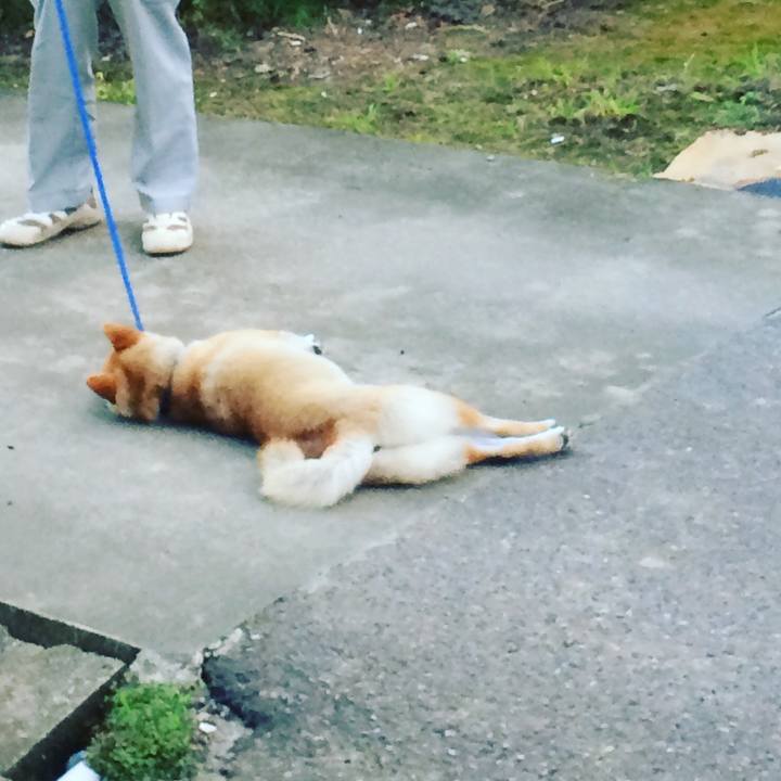 F75a846e c2f6 4797 a895 bdf7f91b77c3