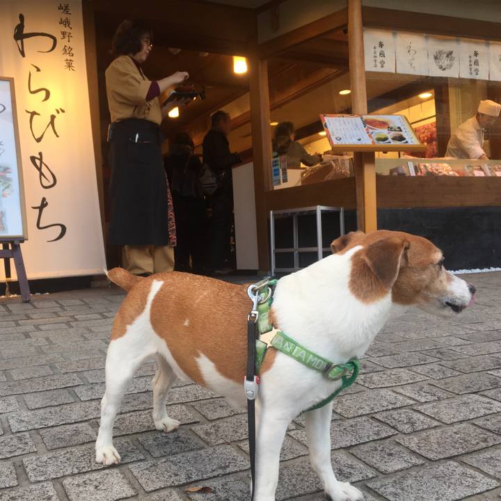 F75bb102 968a 4469 90b0 a4907c49bc20