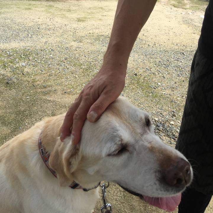 F75bc243 d470 4259 9fe3 fd192361b90f