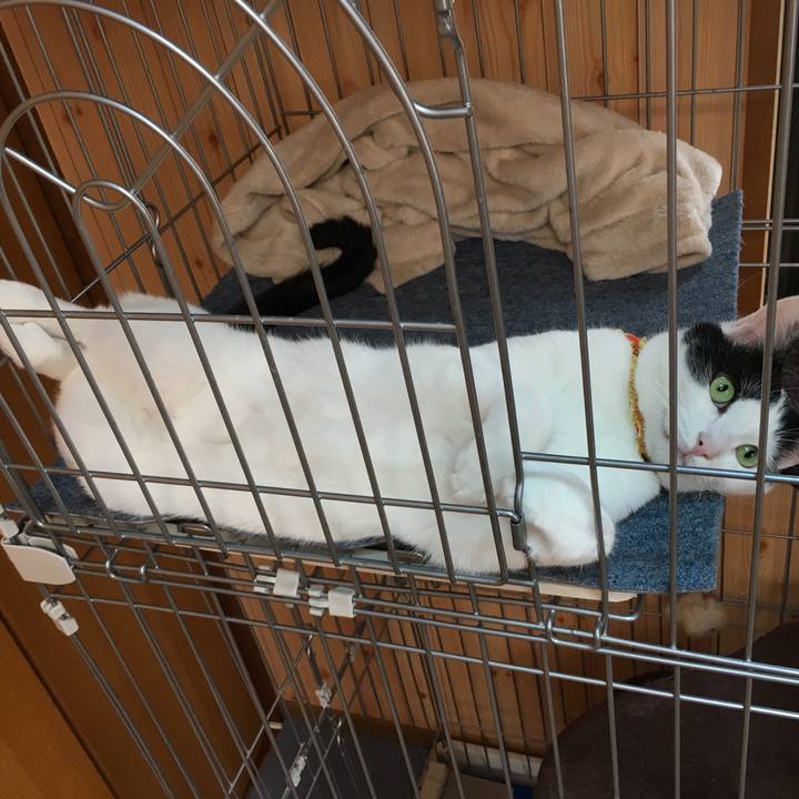 F75bec98 d567 4bc6 b3bc 18589f4c9ad0