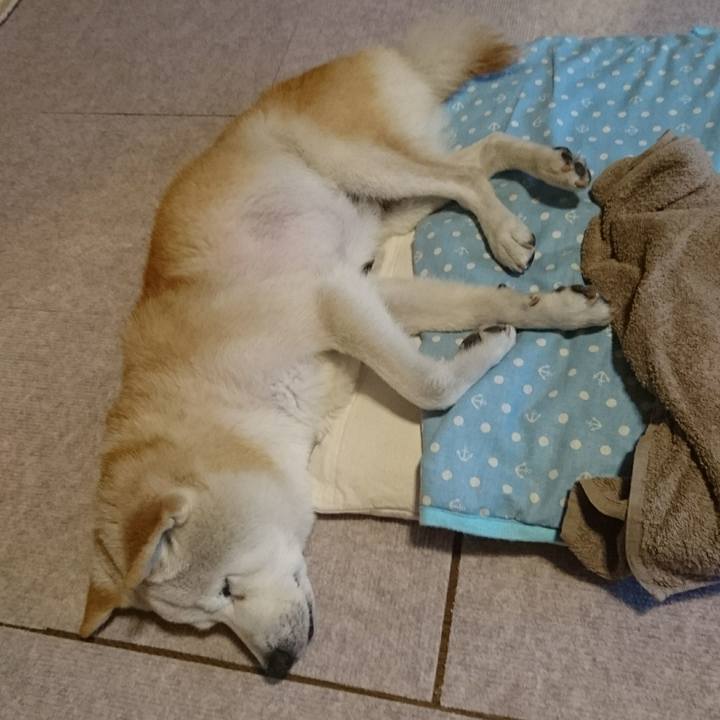 F75c4c8a 6add 4dff 95e1 3b267d54a3b1