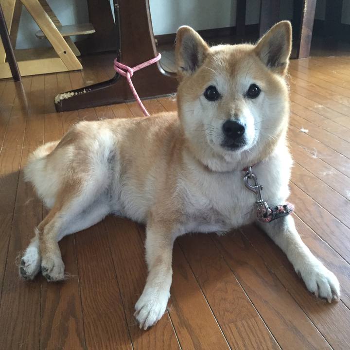 F75c70cf 9587 4873 a673 85f2accf41e6