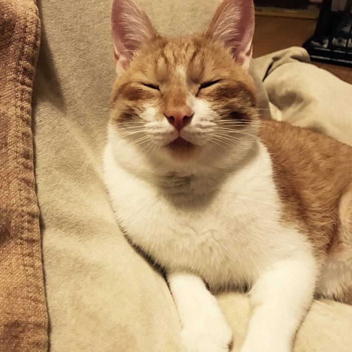 F75cb9ef b33f 42fc 9d18 124e991a7d75