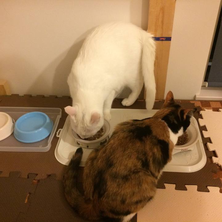 F75ce239 3aea 4846 8736 72c1e160e754