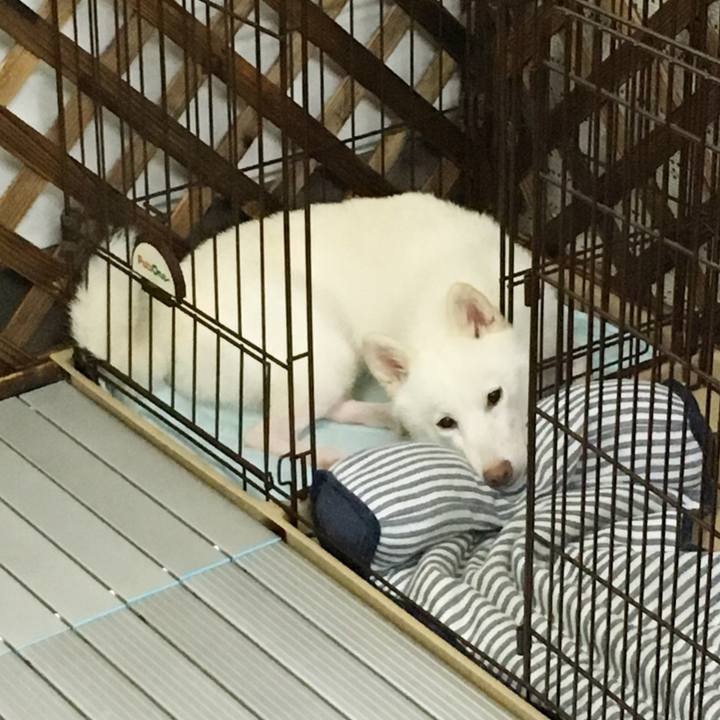 F75e1fa2 3ff2 40b1 9f53 5195150efd3b