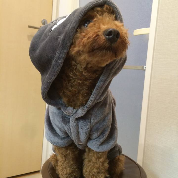 F75ea1ed 9295 4c63 b531 970d59c746fe