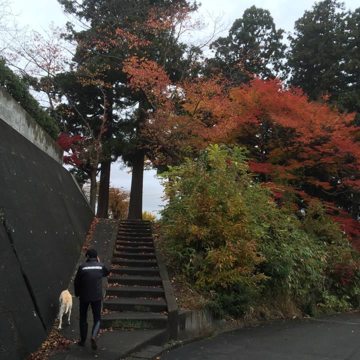 F75ea678 5377 4919 86f0 cfb47118de98