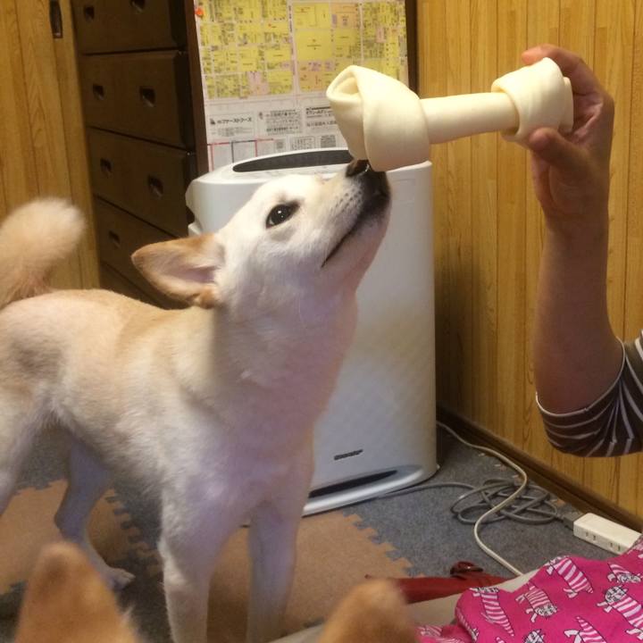 F75f12fe 0fdc 467c b455 ebcea643d73d